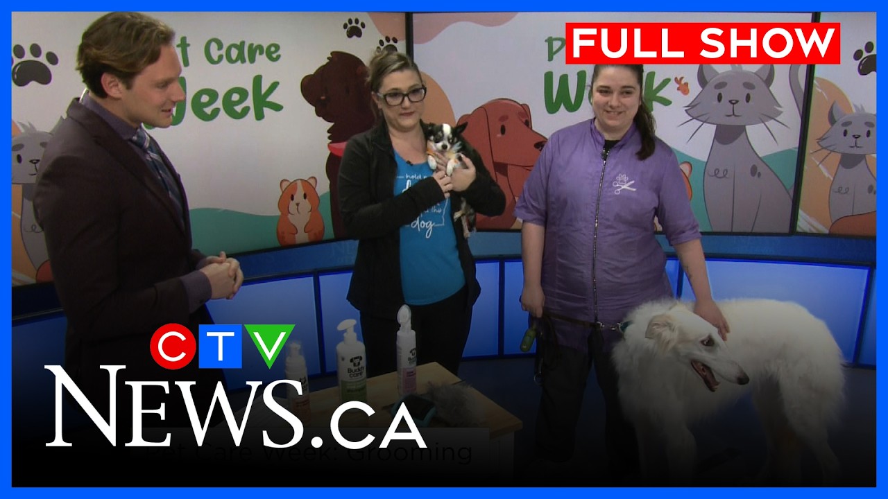 CTV Your Morning Ottawa for Monday, April 6, 2026