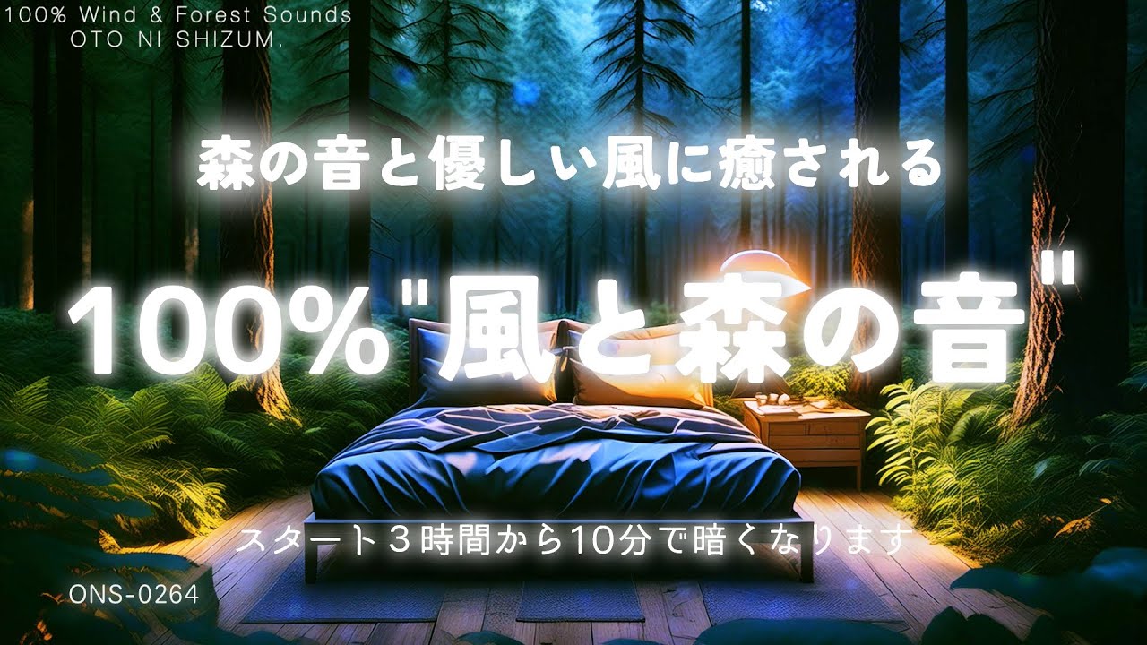 【睡眠用BGM・風の音 睡眠・自然音 睡眠】森の音と優しい風に包まれて眠る 100% 風と森の音 |自然音 ASMR |風の音 BGM|夜の森の音 |ONS-0264