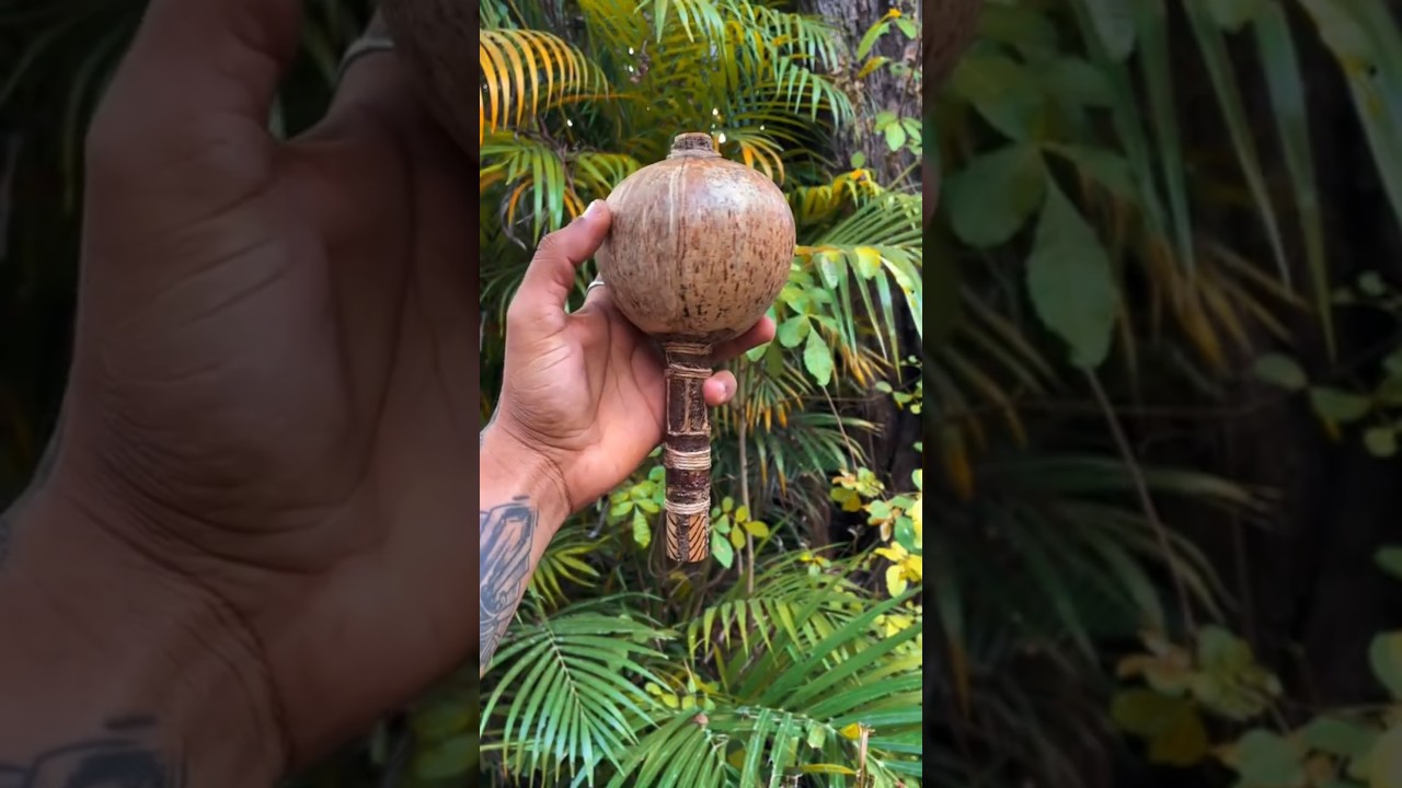 Od kokosa do marakasa 🥥🎵