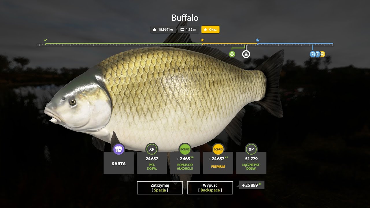 Russian Fishing 4 Buffalo Trophy - Akhtuba River