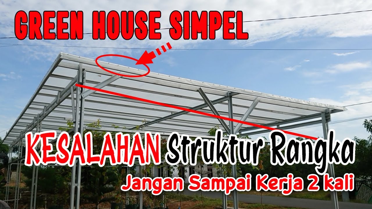 GREEN HOUSE Anggur Simpel Perhatikan Hal Ini
