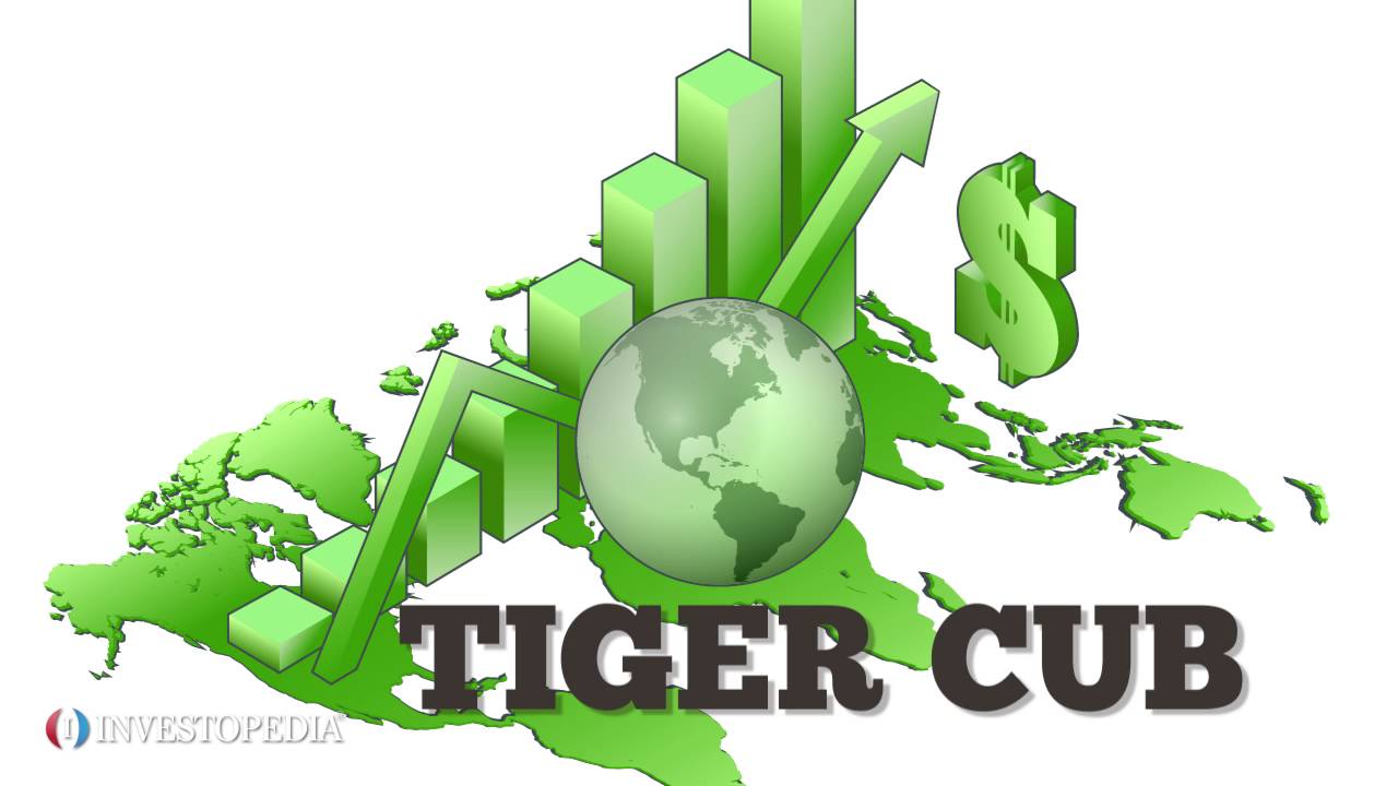 Tiger Cub Economies
