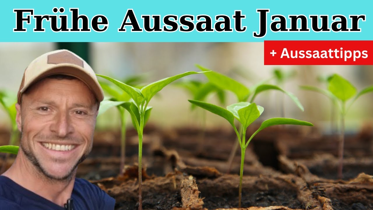 11 Aussaaten im Januar 🌱 Sortenangaben + Anzuchttipps!
