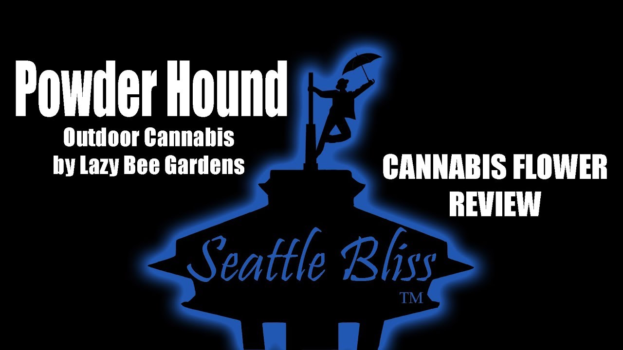 Powder Hound by Lazy Bee - Seattle Bliss review 180207