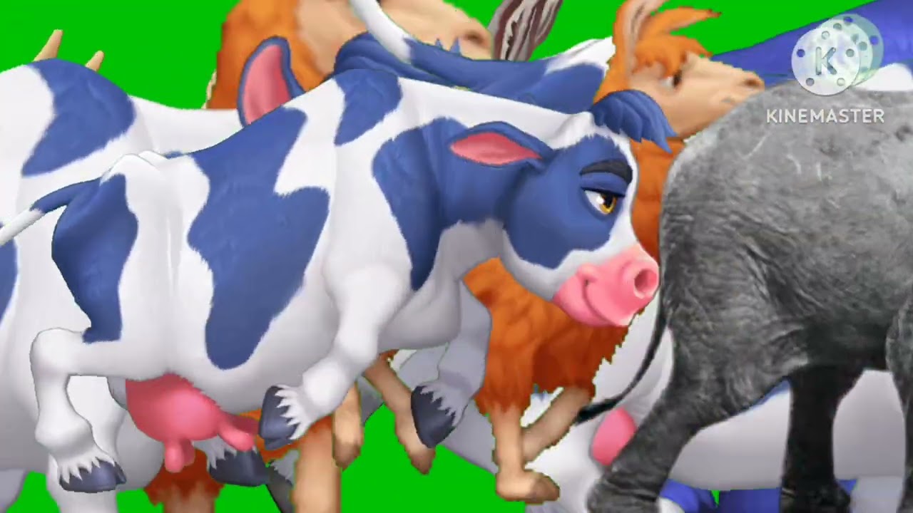 Stampede animals  green screen  part 1