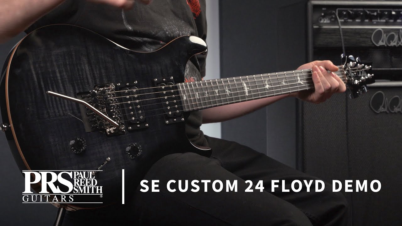 The SE Custom 24 