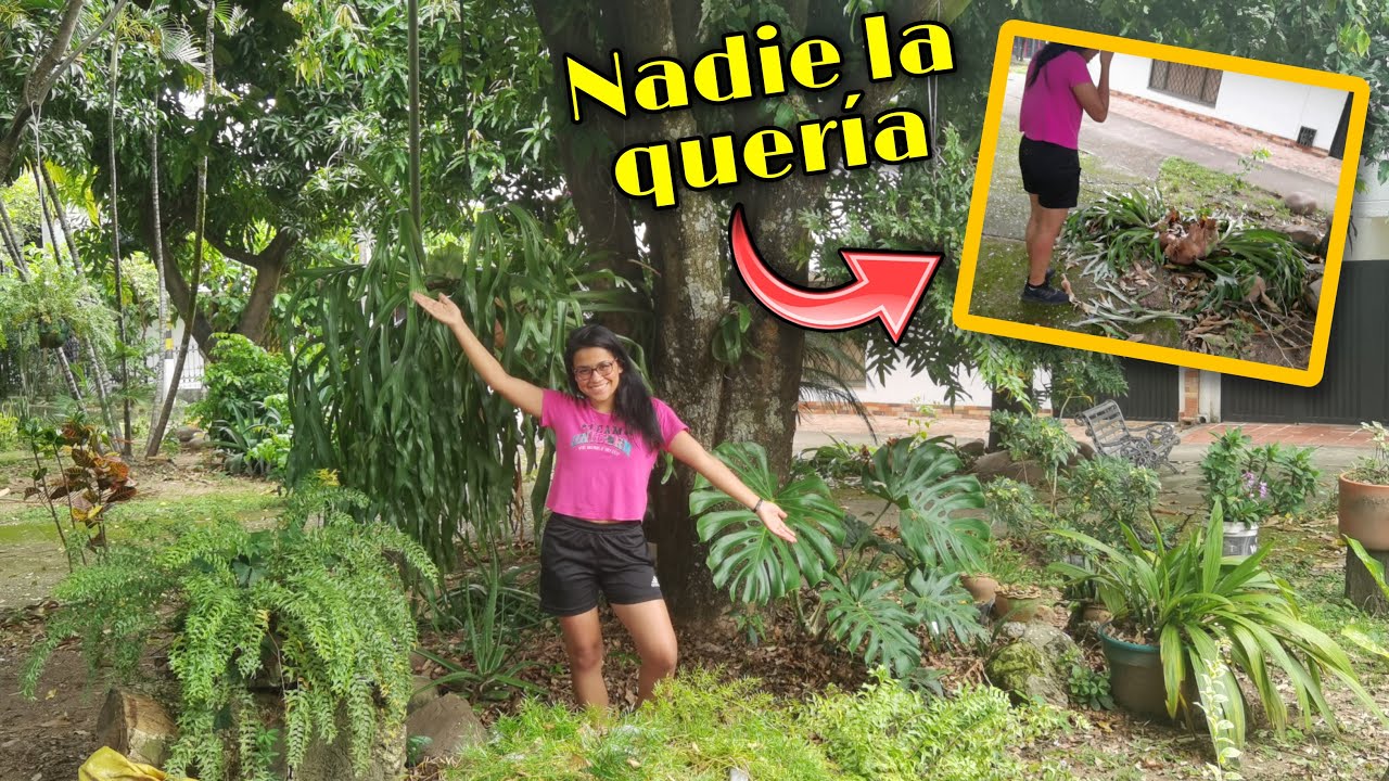 VISITÉ UN JARDÍN PÚBLICO LLENO DE SUCULENTAS, HELECHOS, ORQUÍDEAS Y MÁS 🌿 | Jardines by Angie