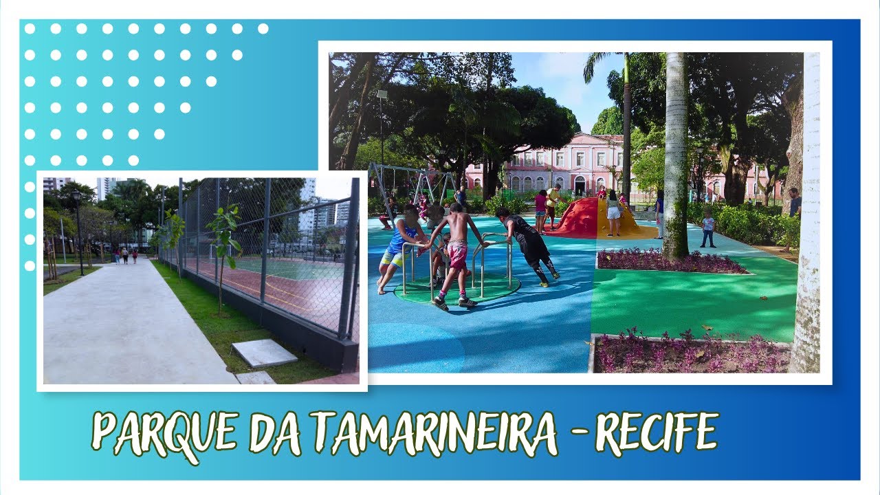 Tour Completo pelo Novo Parque da Tamarineira no Recife [4K]