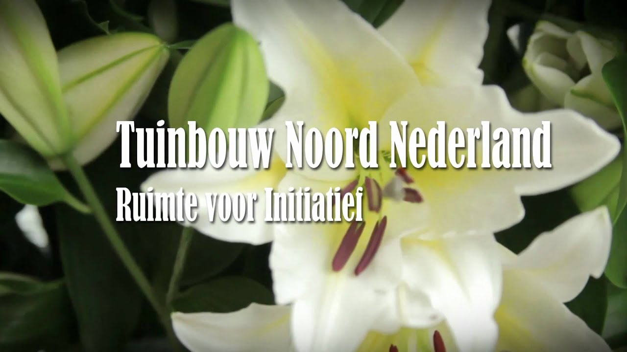 Tuinbouw Noord-Nederland: Ruimte voor Initiatief