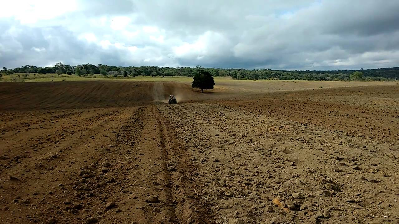 Trator Valtra 785 4x4 nivelando terra com uma niveladora tatu 28 discos.