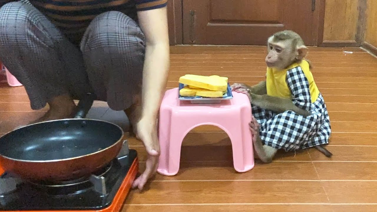 Obedient Judee Quietly Sit Wait Mom Frying Bread & Butter