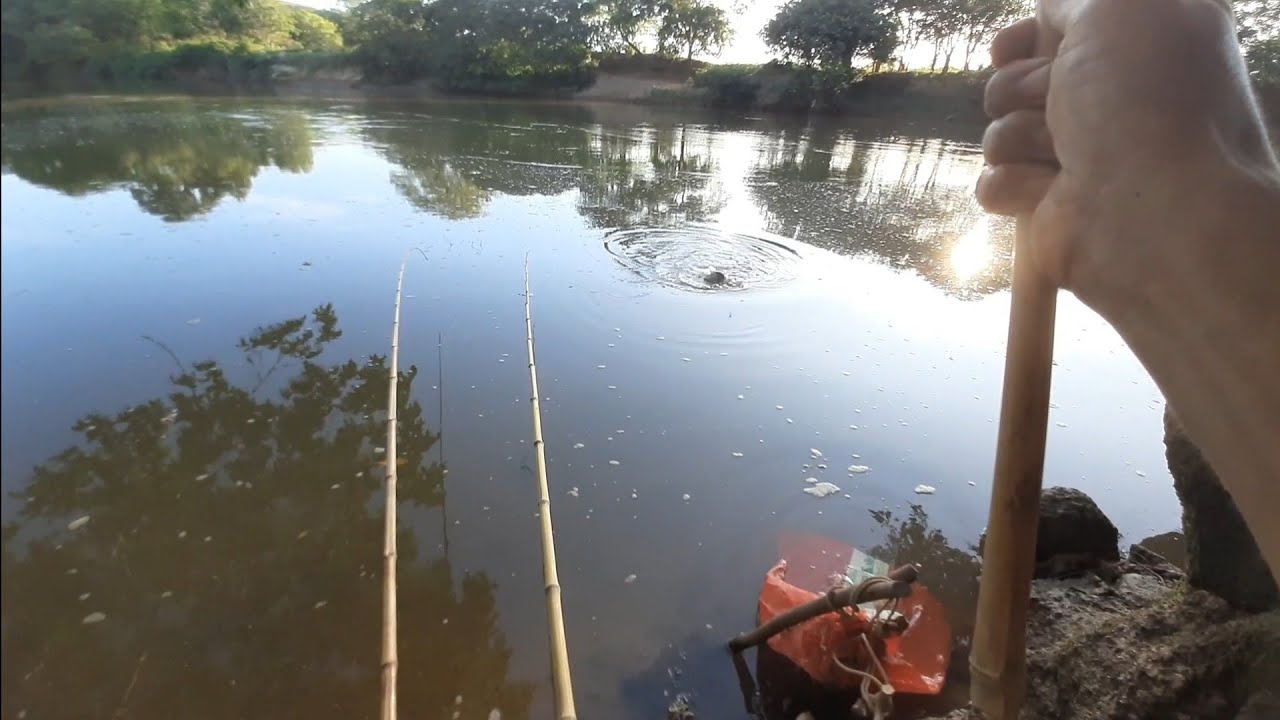 COMO PESCAR TILÁPIA no FRIO POÇO NOVO já teve GIGANTE na linha do MATUTO do BREJO nessa PESCARIA