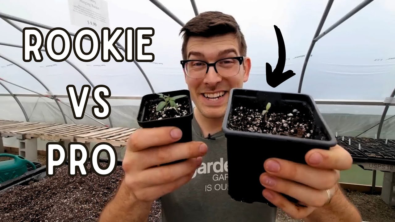 The Difference Was SHOCKING (Rookie Vs. Pro Seed Starting)