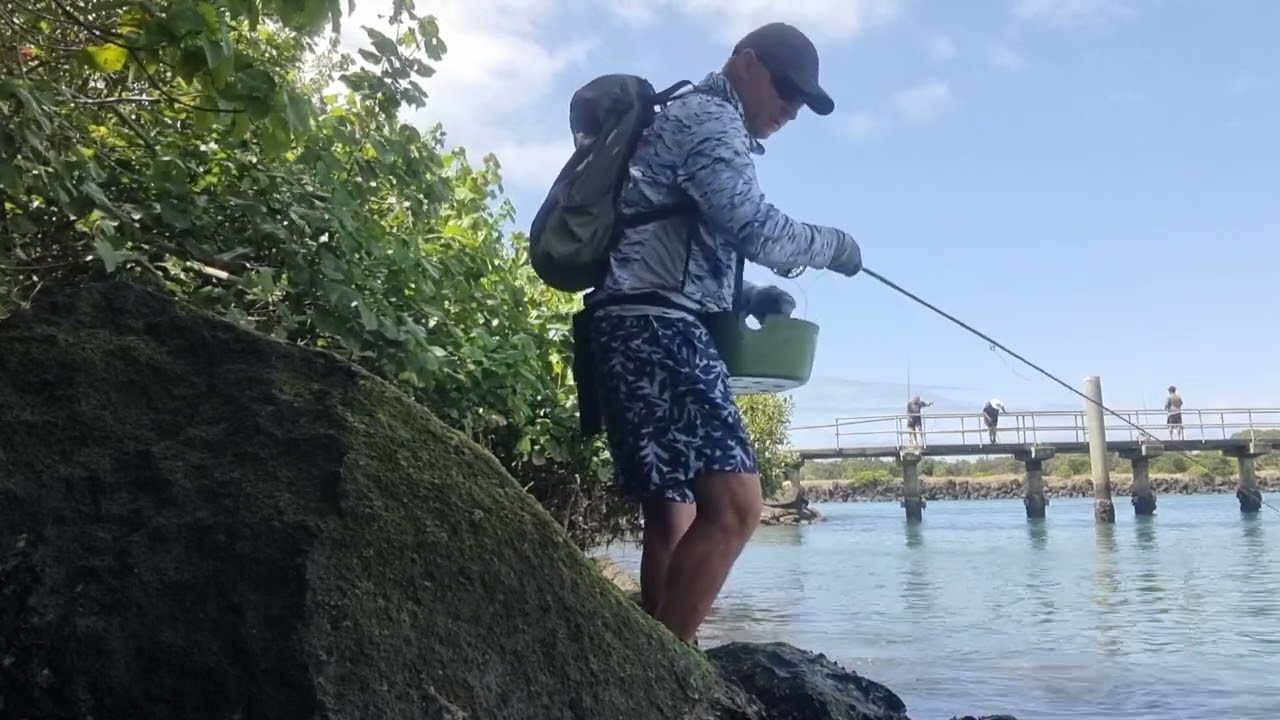 Fly Casting- Roll cast                   with heavy fly  & fast sink fly line