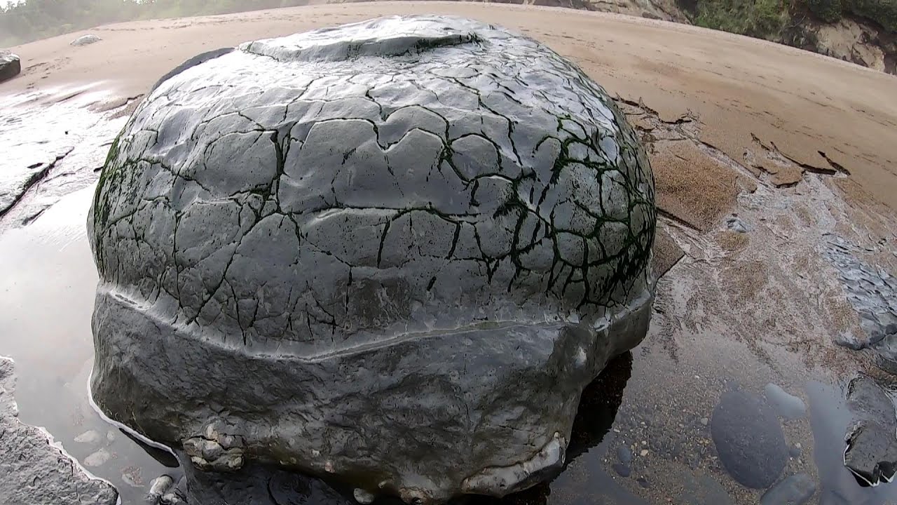 Biological interstitium,tendon balls and geological concretions#2