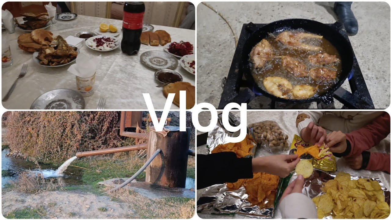 Gün ərzində nələr etmişik 