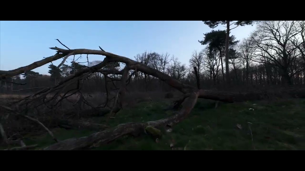Avata 2 Cinematic Practice
