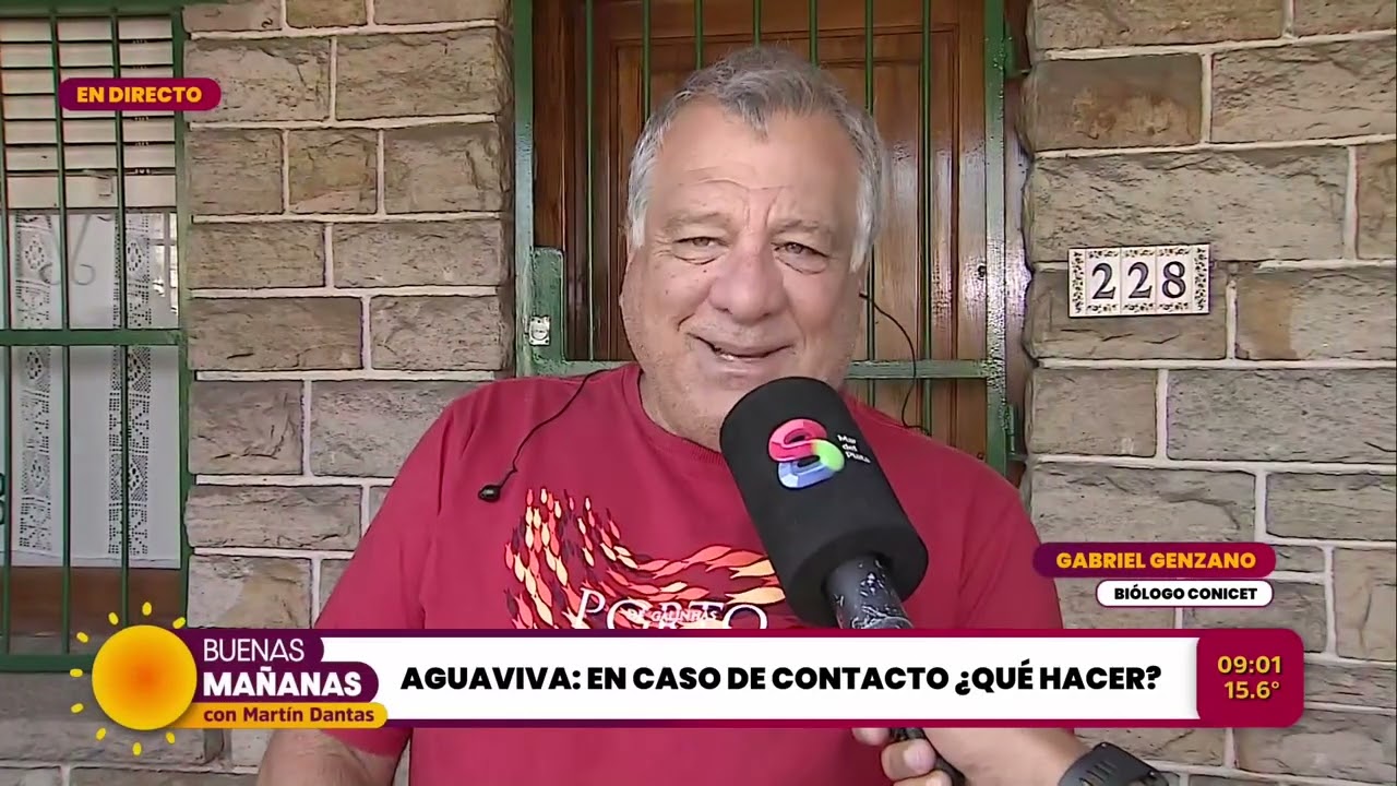 ¿POR QUÉ LA PRESENCIA DE TANTAS AGUAVIVAS?