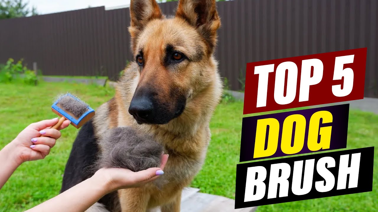 Best Dog Brushes for German Shepherds: Keep Your Furry Friend Healthy and Happy