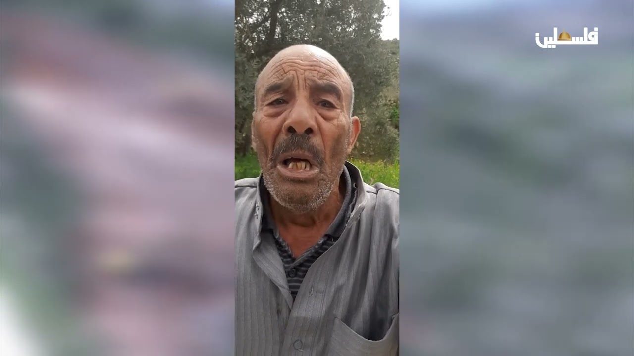 المستوطنون يسرقون 120 سخل من غرب سلفيت ويواصلون توسيع المستوطنات على حساب أراضي قرية بروقين
