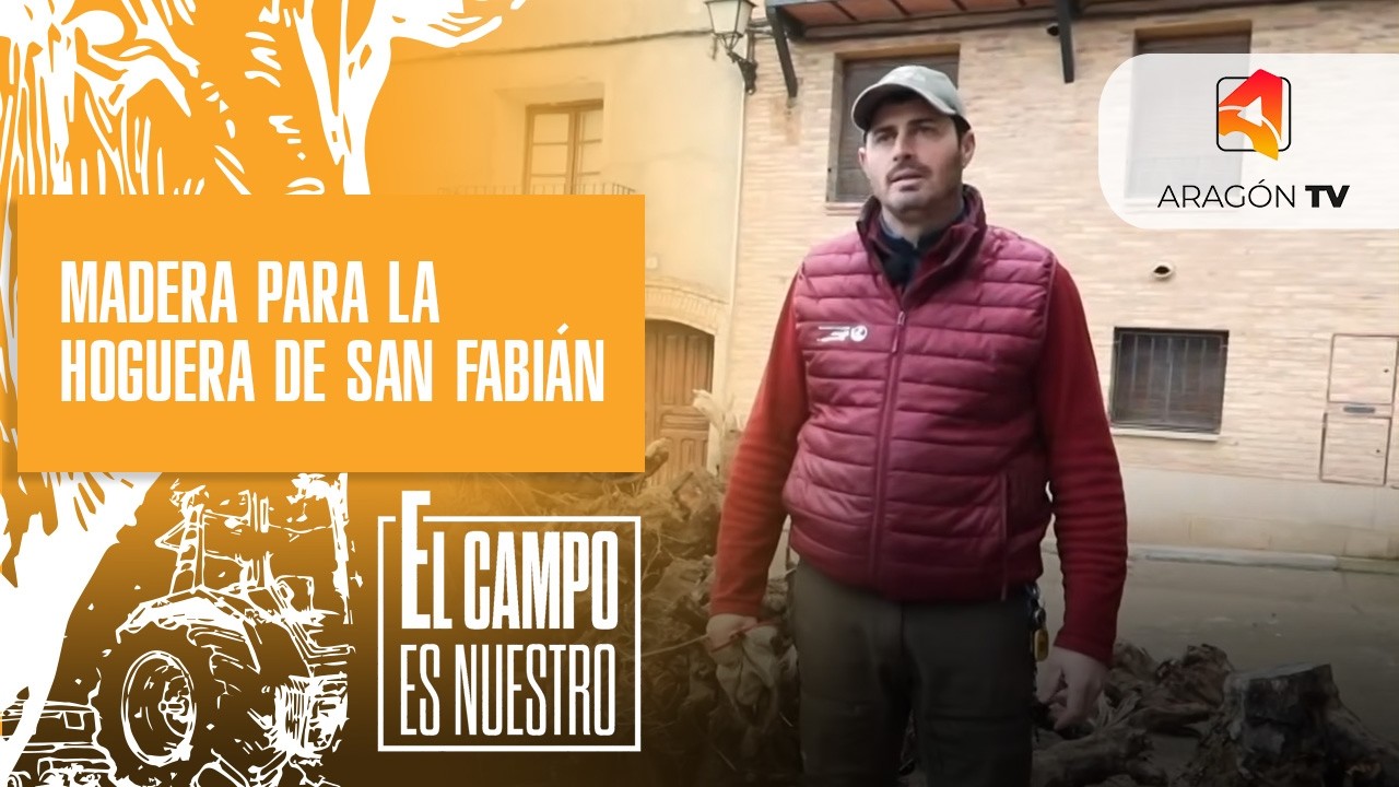 Leña para la hoguera de San Fabián