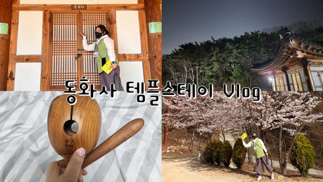 [뽀삐vlog]템플스테이 다녀왔어요/동화사 템플스테이/목탁 플렉스