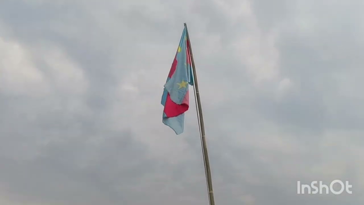 11 February 2026
