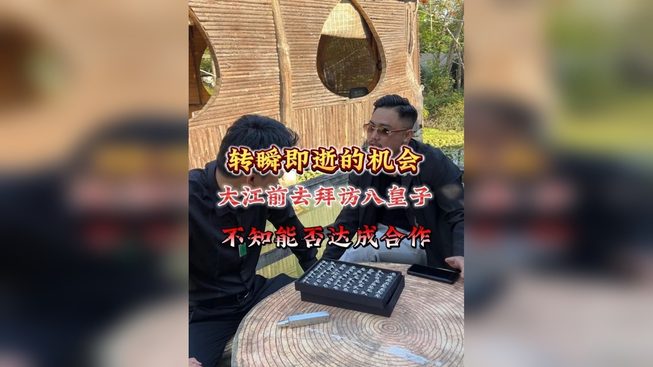转瞬即逝的机会，大江前去拜访八皇子，不知能否达成合作