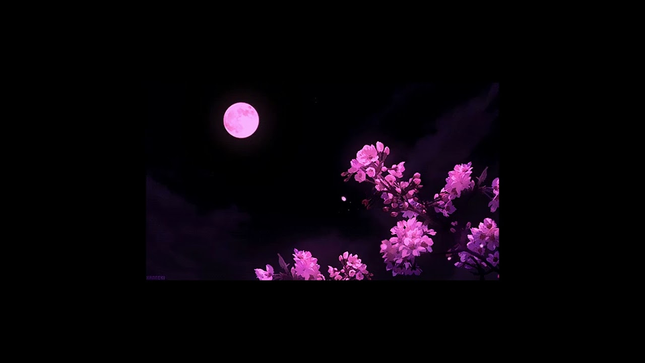 a playlist for a peaceful moment