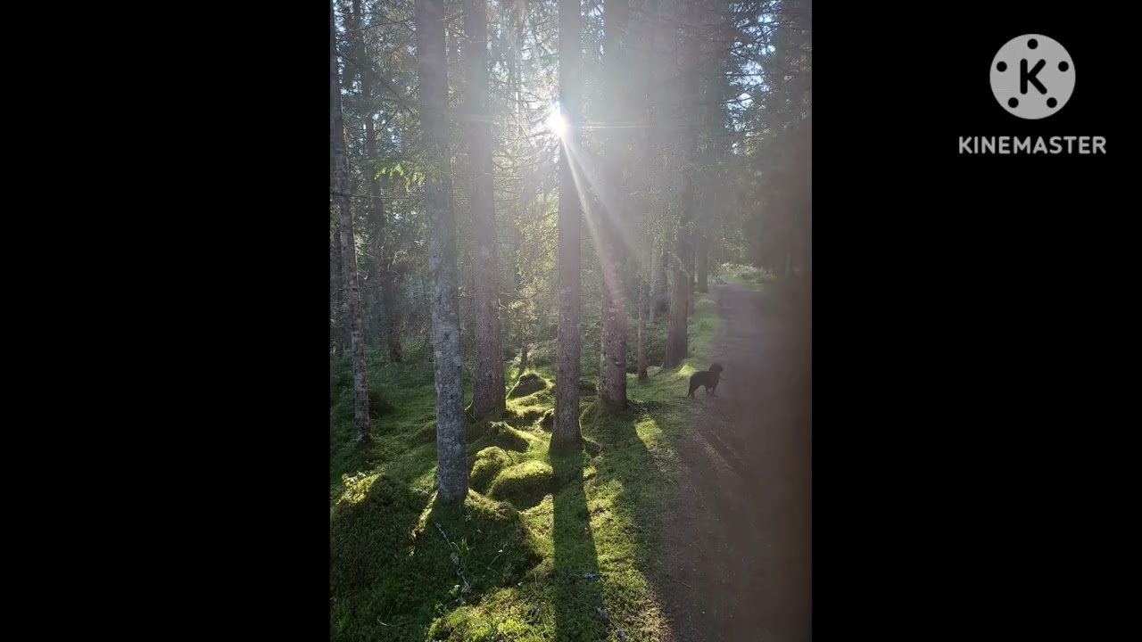 Another way( original song)