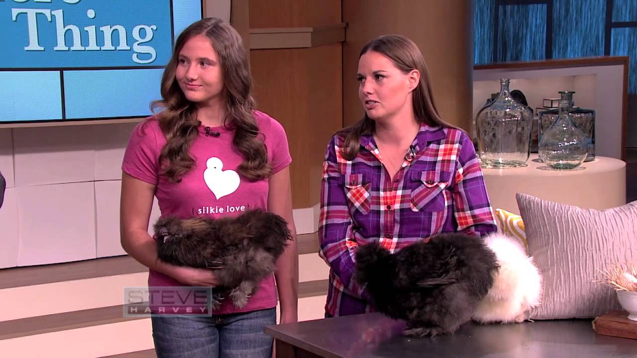 Silkie Chickens