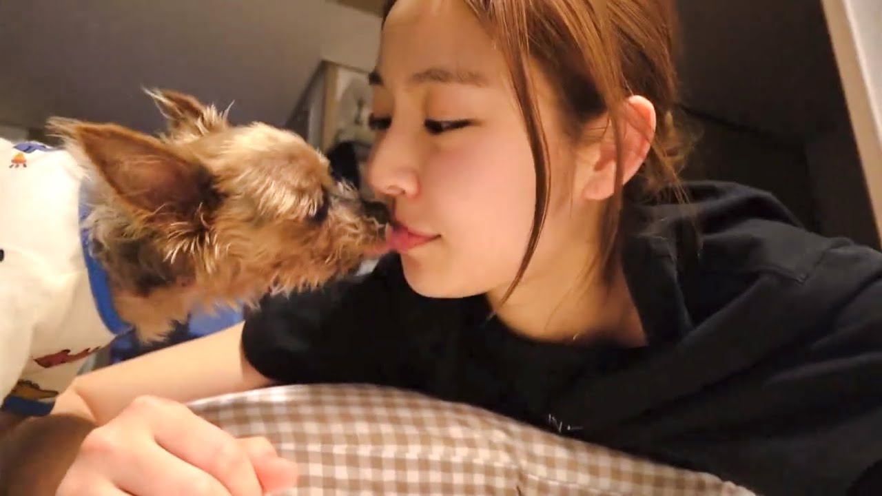 한이수여섯번째일기장다날라감/남은건재트키스타임