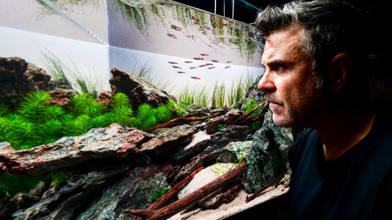 Building a Mountain Stream Aquascape (and the Perfect Fish for It)