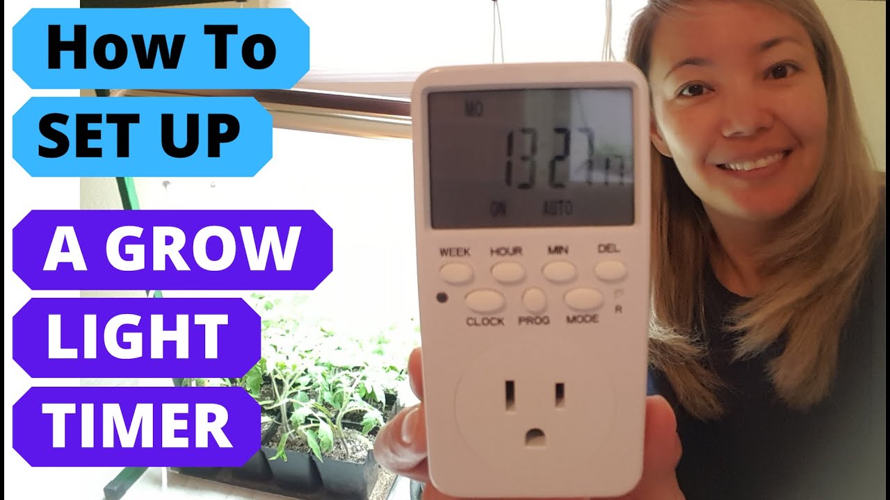 HOW to SET UP A TIMER for grow lights