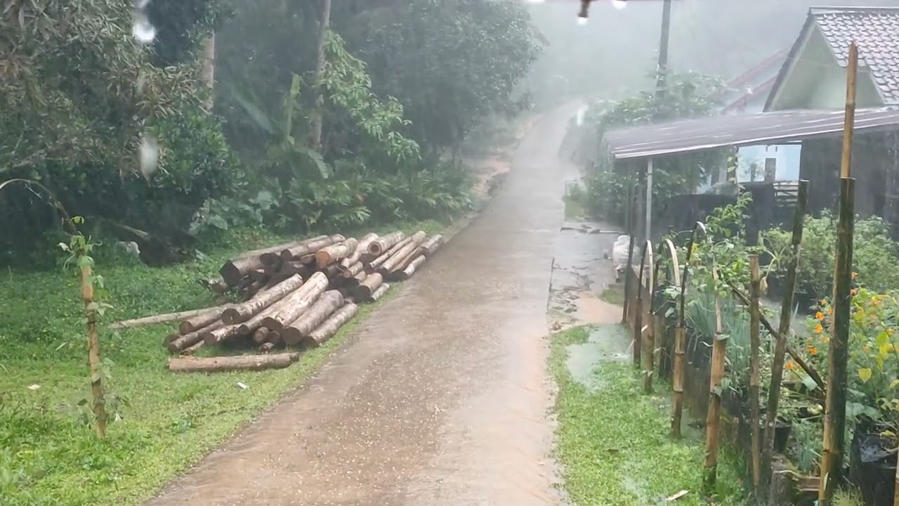 Heavy Rain Walking Tour | Relaxing Sounds