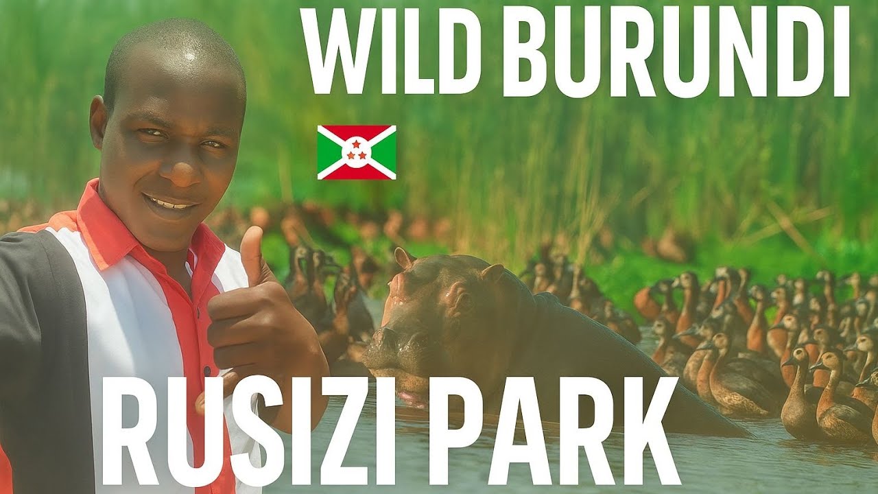 Visit with us the Rusizi National park -hidden nature in Burundi🇧🇮