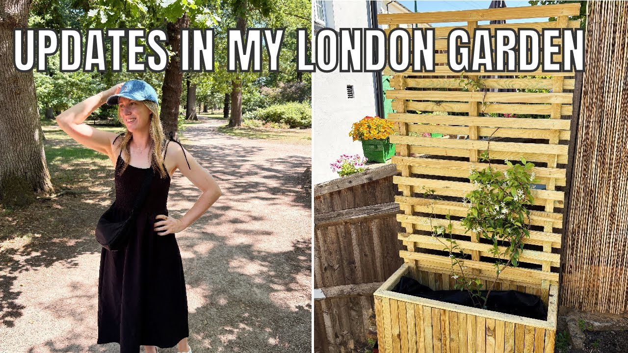 CREATING PRIVACY IN MY SMALL LONDON GARDEN