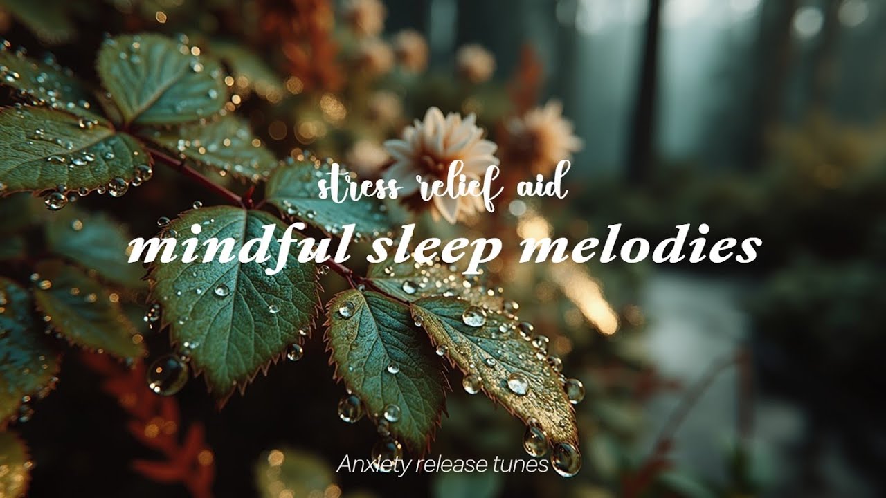 Расслабляющая фортепианная музыка для глубокого сна и снятия стресса 🌿 Безмятежные звуки