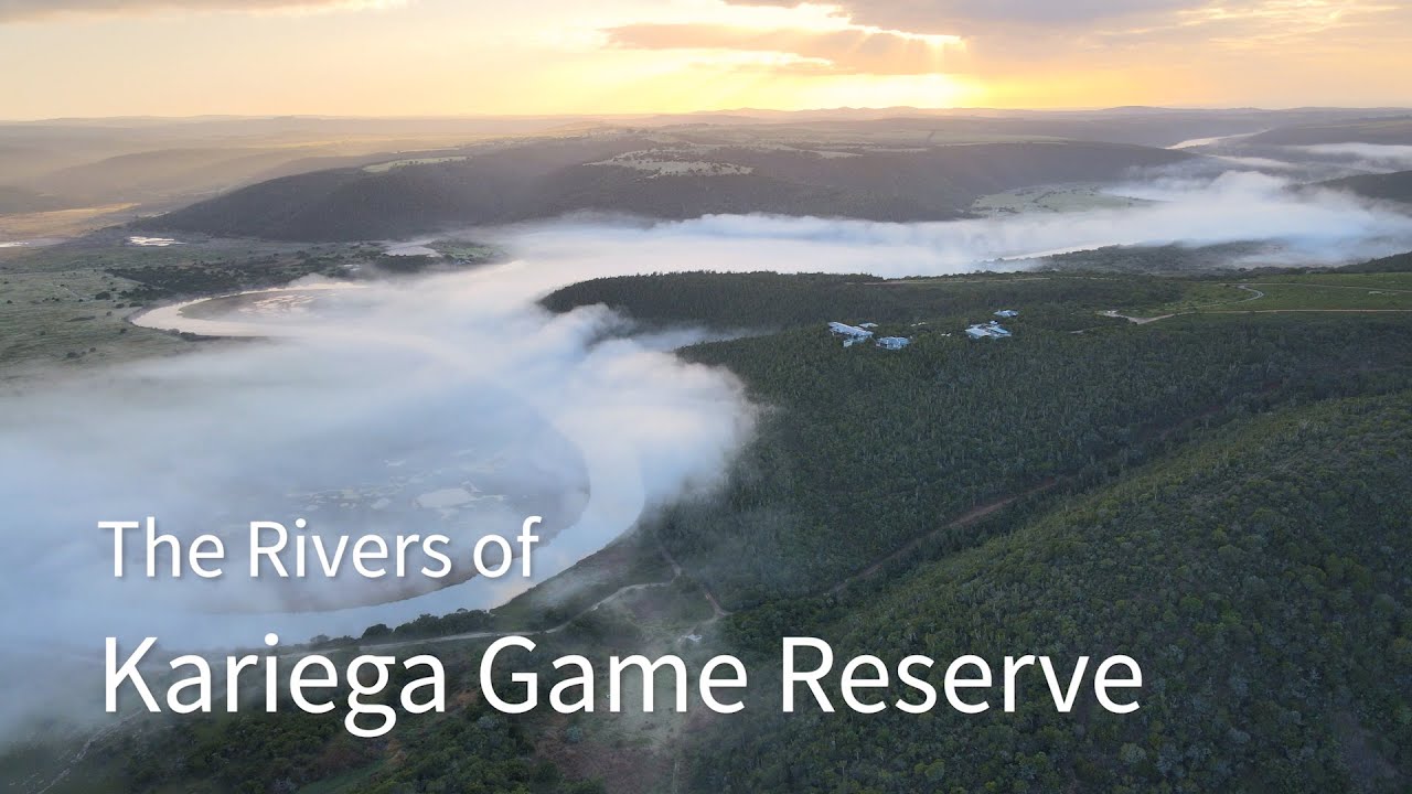 The two River Estuaries bursting with life on Kariega Game Reserve