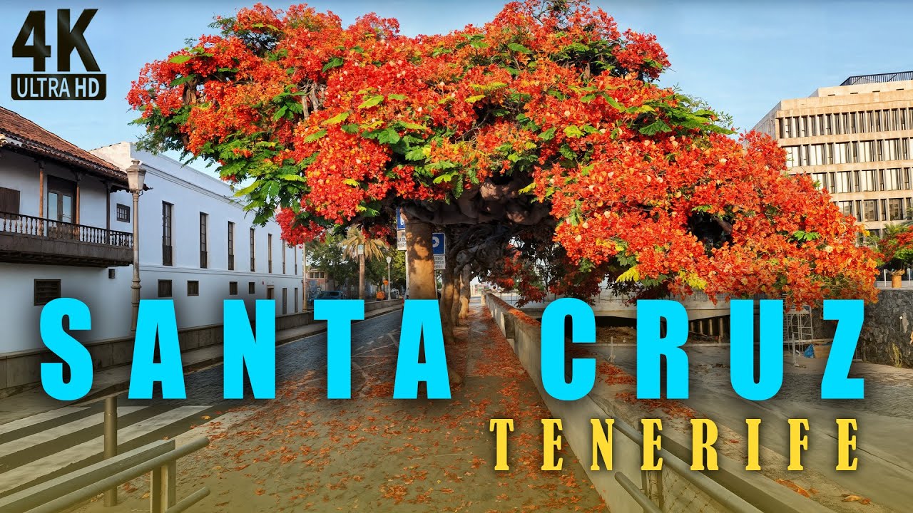 4K | Santa Cruz de Tenerife 🇪🇸 Walking Tour 2025 | Capital of Tenerife