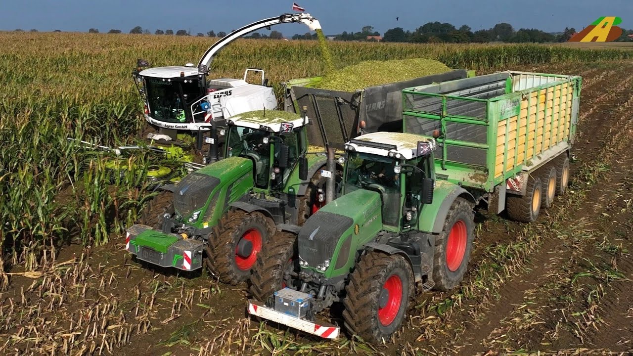 Maisernte 2023 - Feldh&auml;cksler Claas Jaguar, Traktor Xerion 5000 Lohnunternehmer Farmer Corn Harvest
