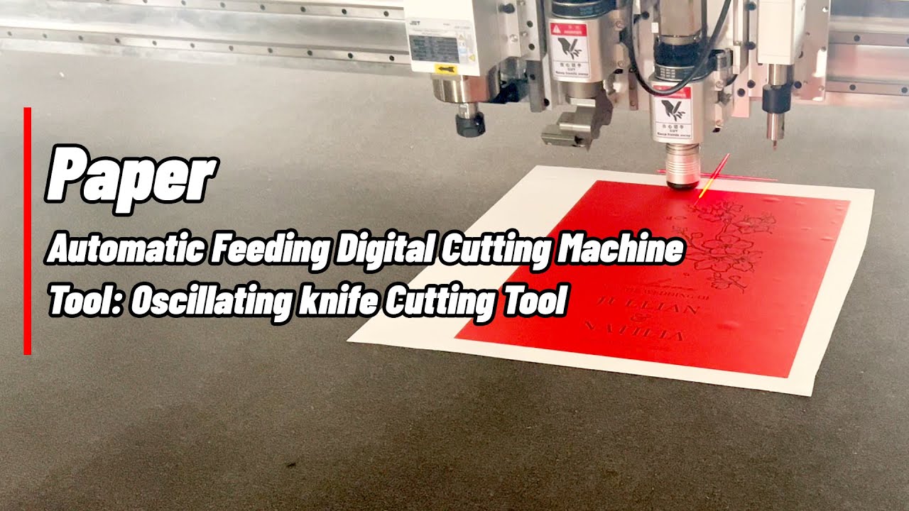 Single-layer paper cutting machine  with oscillating knife tool