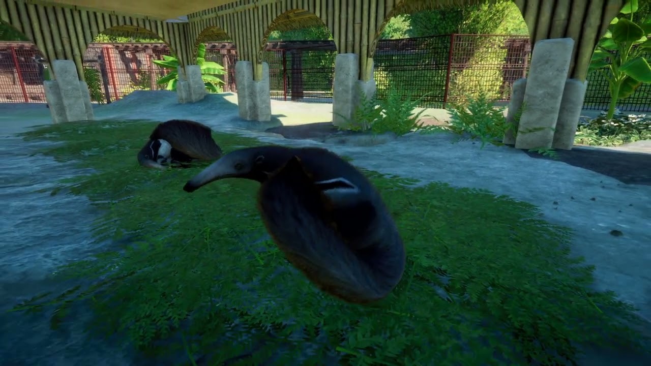 Giant Anteater | Planet Zoo Animals