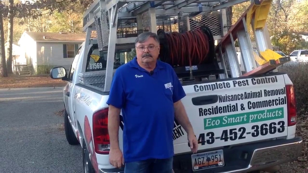 Pest Control Service - Charleston, SC - Exterminators