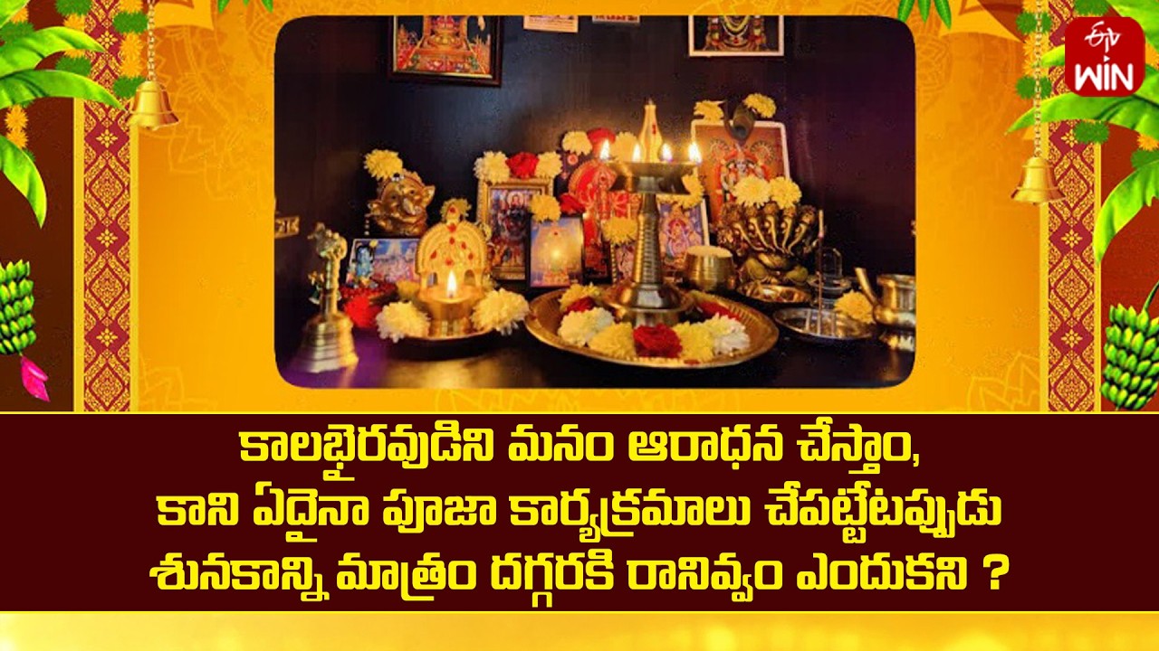 కాలభైరవుడిని ఆరాధిస్తాం కాని పూజ చేసేటప్పుదు శునకాన్ని దగ్గరకి రానివ్వం ఎందుకని ? | Mana Dharmam