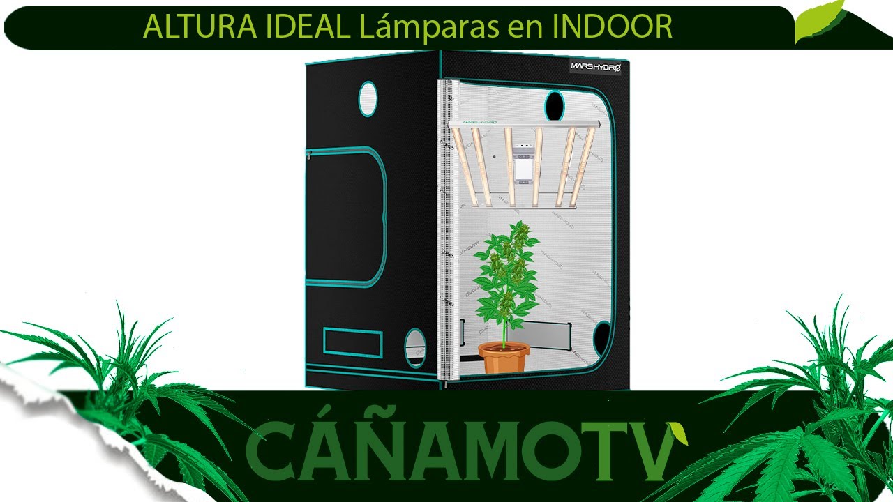 &iquest;A qu&eacute; ALTURA coloco mi L&Aacute;MPARA en INTERIOR para una MAYOR COSECHA? 💡 Mars Hydro FC-E4800
