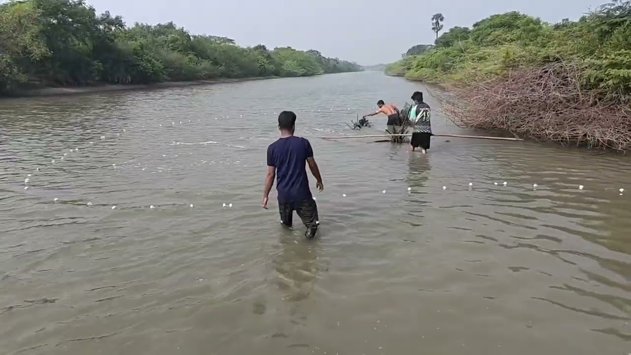 Fishing, Cooking & Boating Adventure at Pulicat Lake Forest 