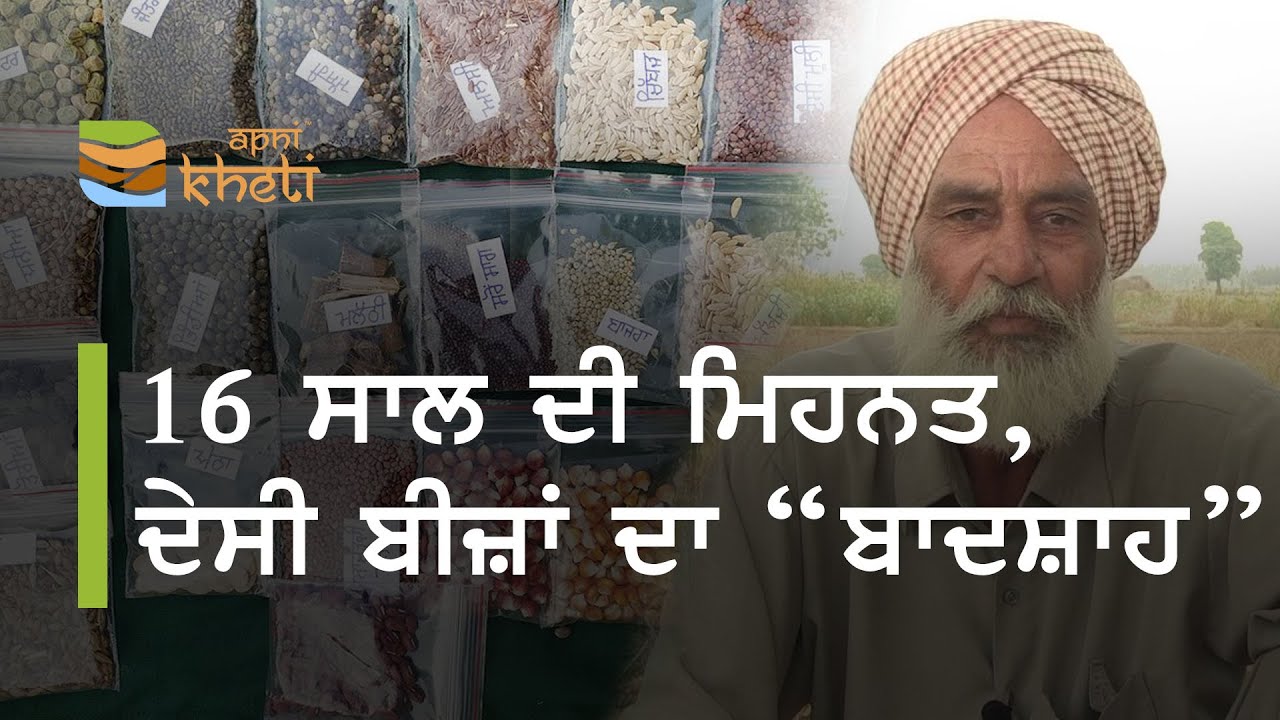ਕਿਉਂ ਬਾਜ਼ਾਰ ਨੂੰ ਝੋਲਾ ਚੁੱਕ ਨਹੀਂ ਜਾਂਦਾ ਇਹ ਕਿਸਾਨ I This farmer doesn't need market I Natural Farming