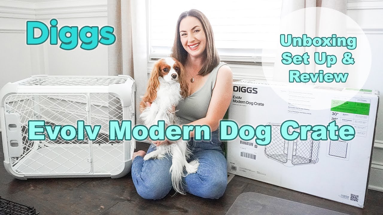 *NEW* Diggs EVOLV Modern Dog Crate in ASH | Unboxing • Set Up • Review!