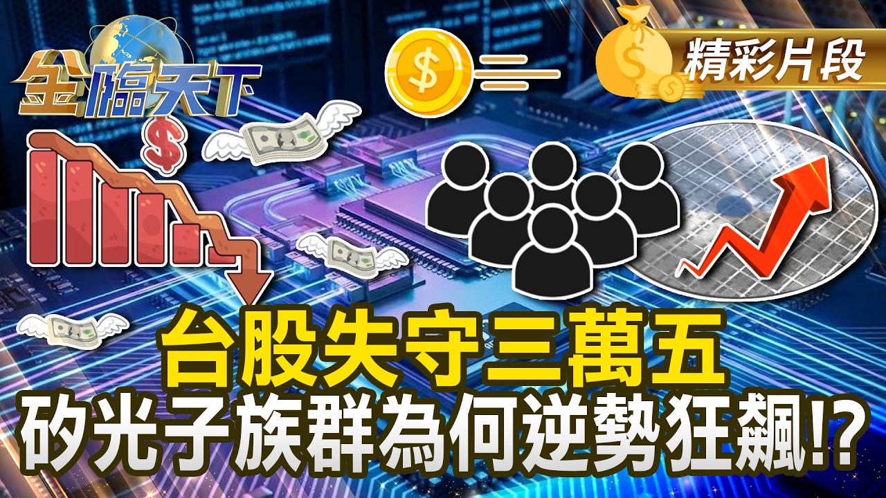 台股失守三萬五 矽光子族群為何逆勢狂飆！？#金臨天下 @TVBSFinanceLive 20260303